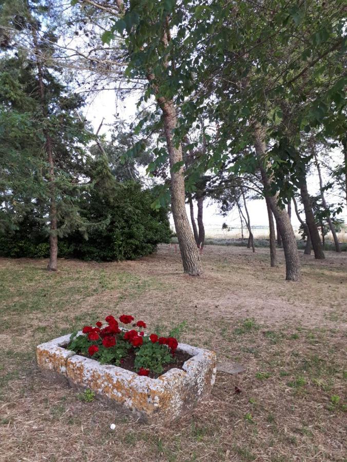 Villa Il Casale Falagario Stacca Altamura Exterior foto