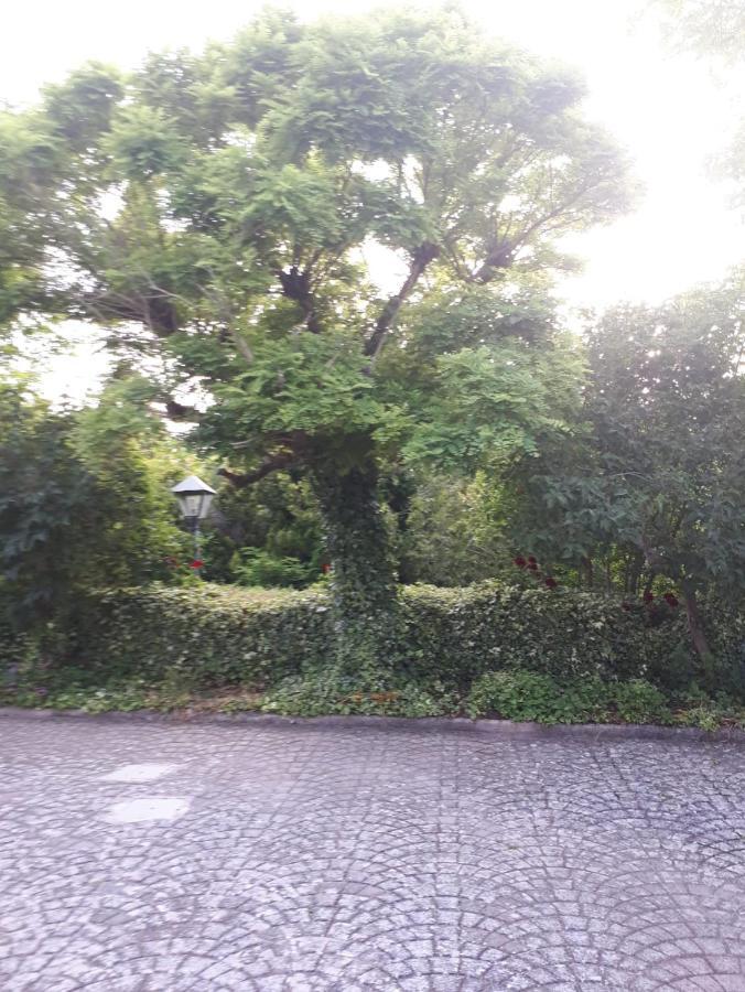 Villa Il Casale Falagario Stacca Altamura Exterior foto